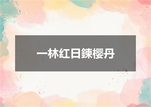 一林红日鍊樱丹