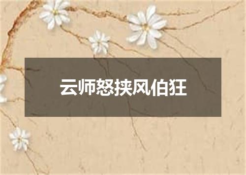 云师怒挟风伯狂