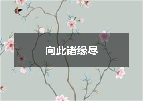 向此诸缘尽