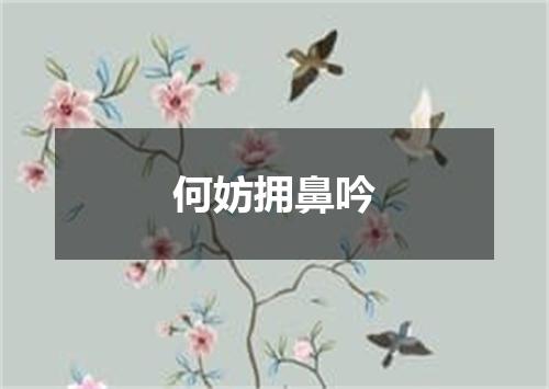 何妨拥鼻吟