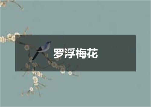 罗浮梅花