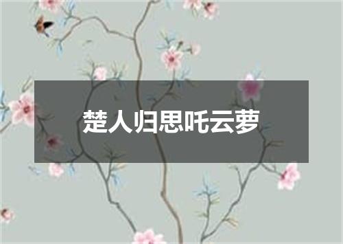 楚人归思吒云萝