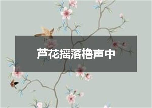 芦花摇落橹声中