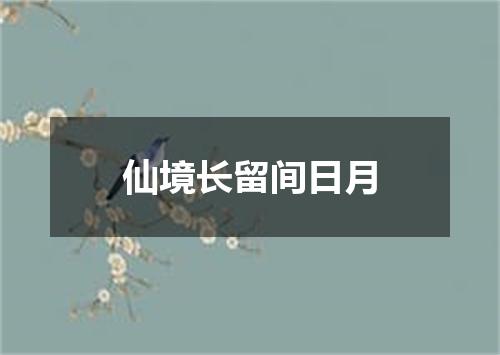 仙境长留间日月