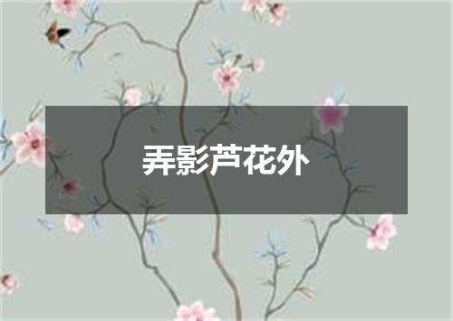 弄影芦花外