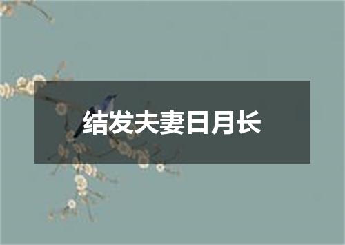 结发夫妻日月长