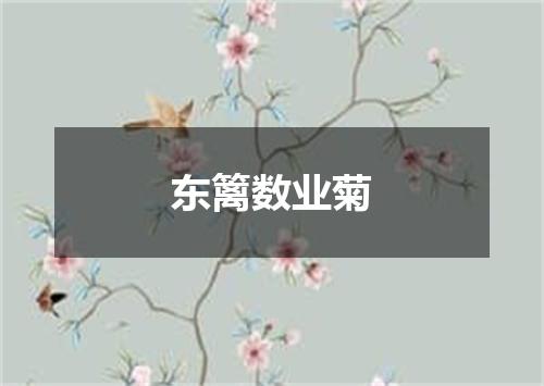 东篱数业菊