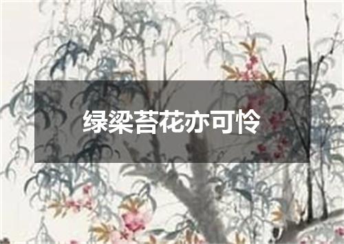 绿梁苔花亦可怜