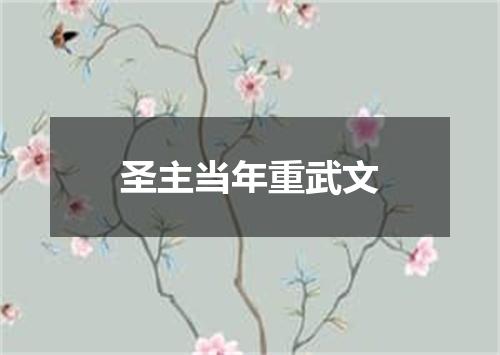 圣主当年重武文