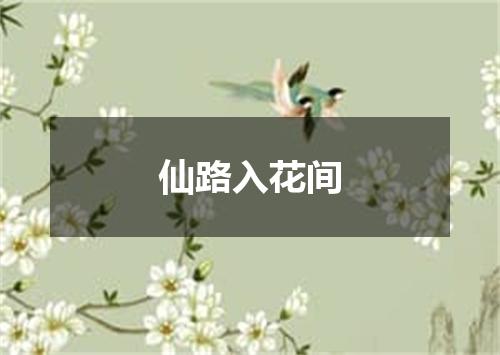 仙路入花间