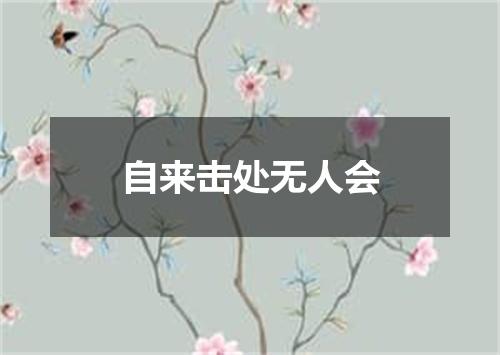 自来击处无人会