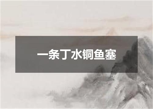 一条丁水铜鱼塞