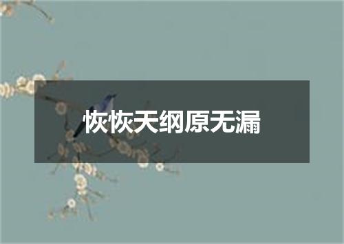 恢恢天纲原无漏