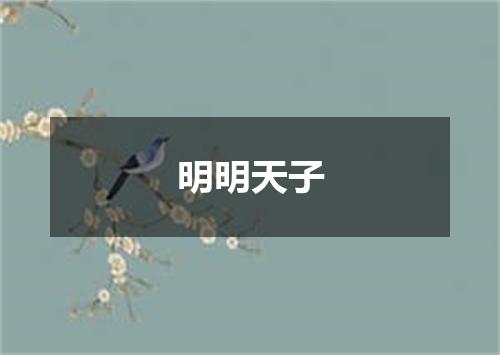 明明天子