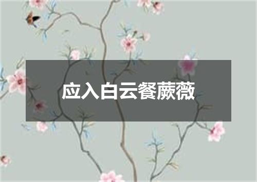 应入白云餐蕨薇