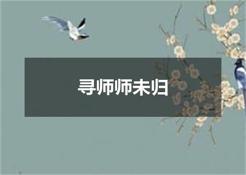 寻师师未归