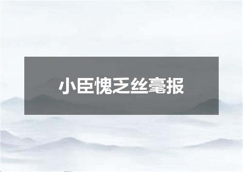 小臣愧乏丝毫报