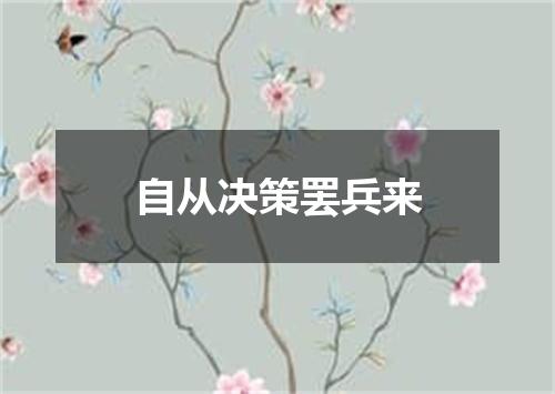 自从决策罢兵来