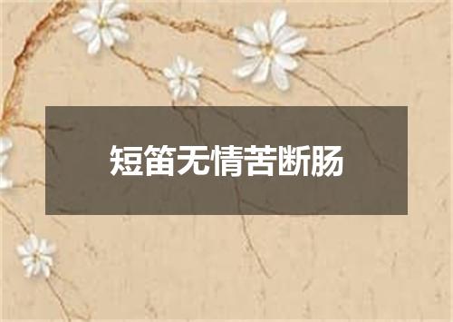 短笛无情苦断肠