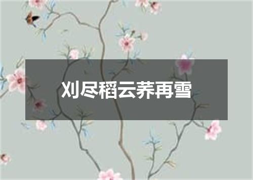 刈尽稻云荞再雪