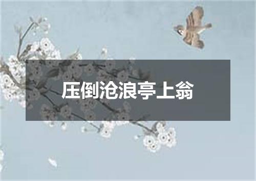 压倒沧浪亭上翁