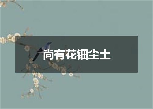 尚有花钿尘土