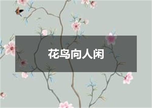 花鸟向人闲