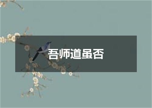 吾师道虽否