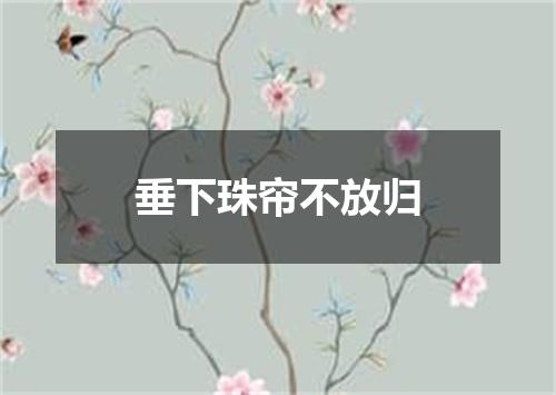 垂下珠帘不放归