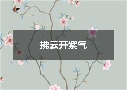 拂云开紫气