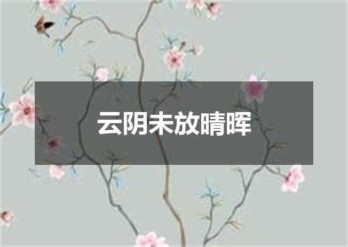 云阴未放晴晖