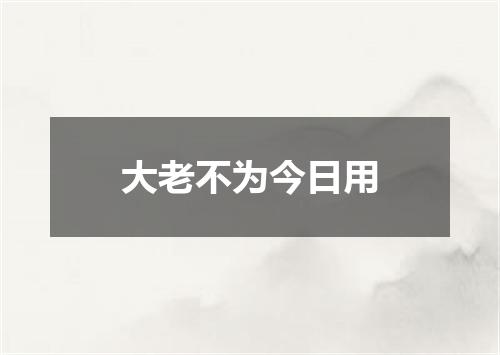 大老不为今日用