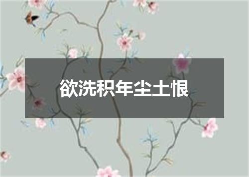 欲洗积年尘土恨