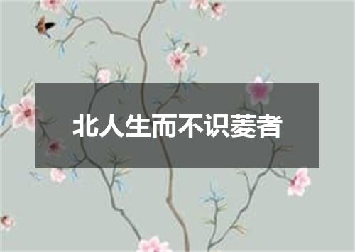 北人生而不识菱者