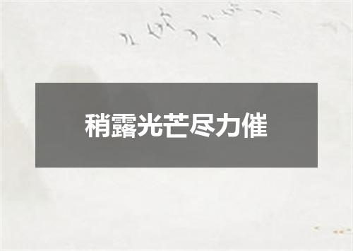 稍露光芒尽力催