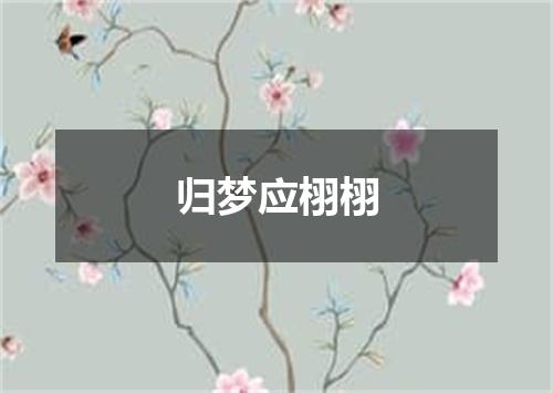 归梦应栩栩