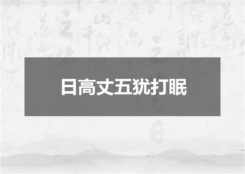 日高丈五犹打眠