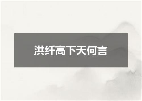 洪纤高下天何言