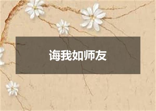 诲我如师友