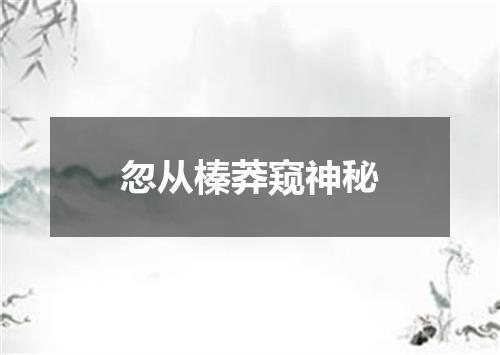 忽从榛莽窥神秘