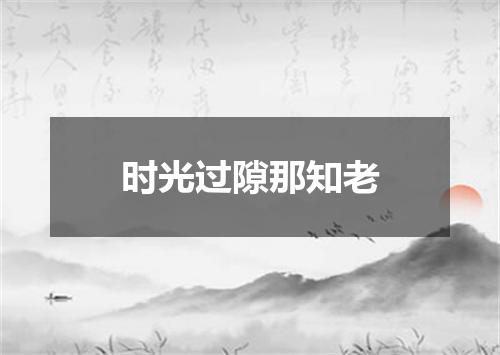 时光过隙那知老