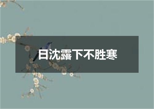 日沈露下不胜寒