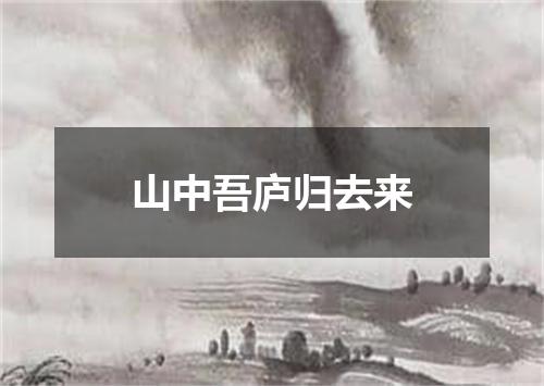 山中吾庐归去来