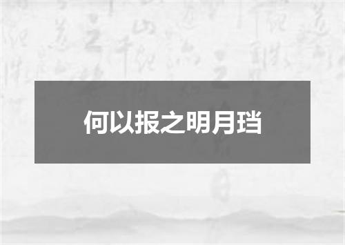 何以报之明月珰