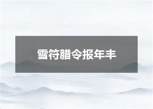 雪符腊令报年丰