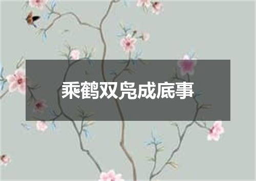 乘鹤双凫成底事