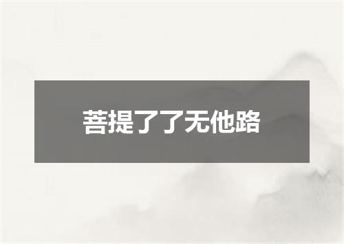 菩提了了无他路