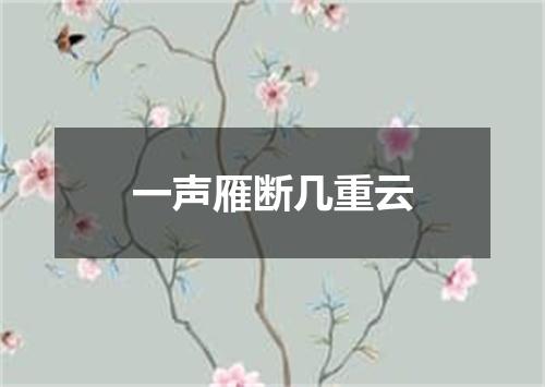 一声雁断几重云