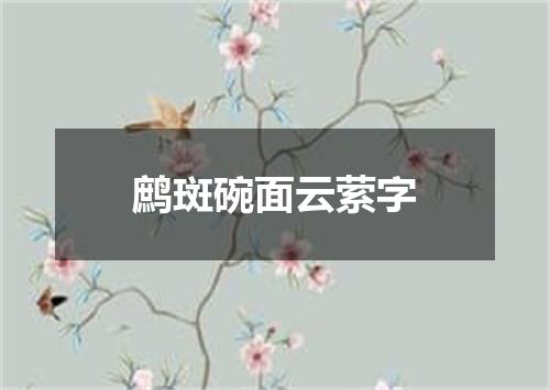 鹧斑碗面云萦字