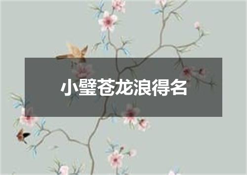 小璧苍龙浪得名